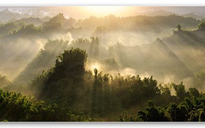 Rich Dad, Poor Dad: Revisited