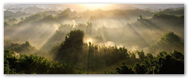 Rich Dad, Poor Dad: Revisited