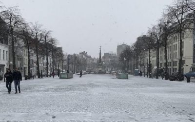 Markets With Memory: A Brussels Holiday Reflection